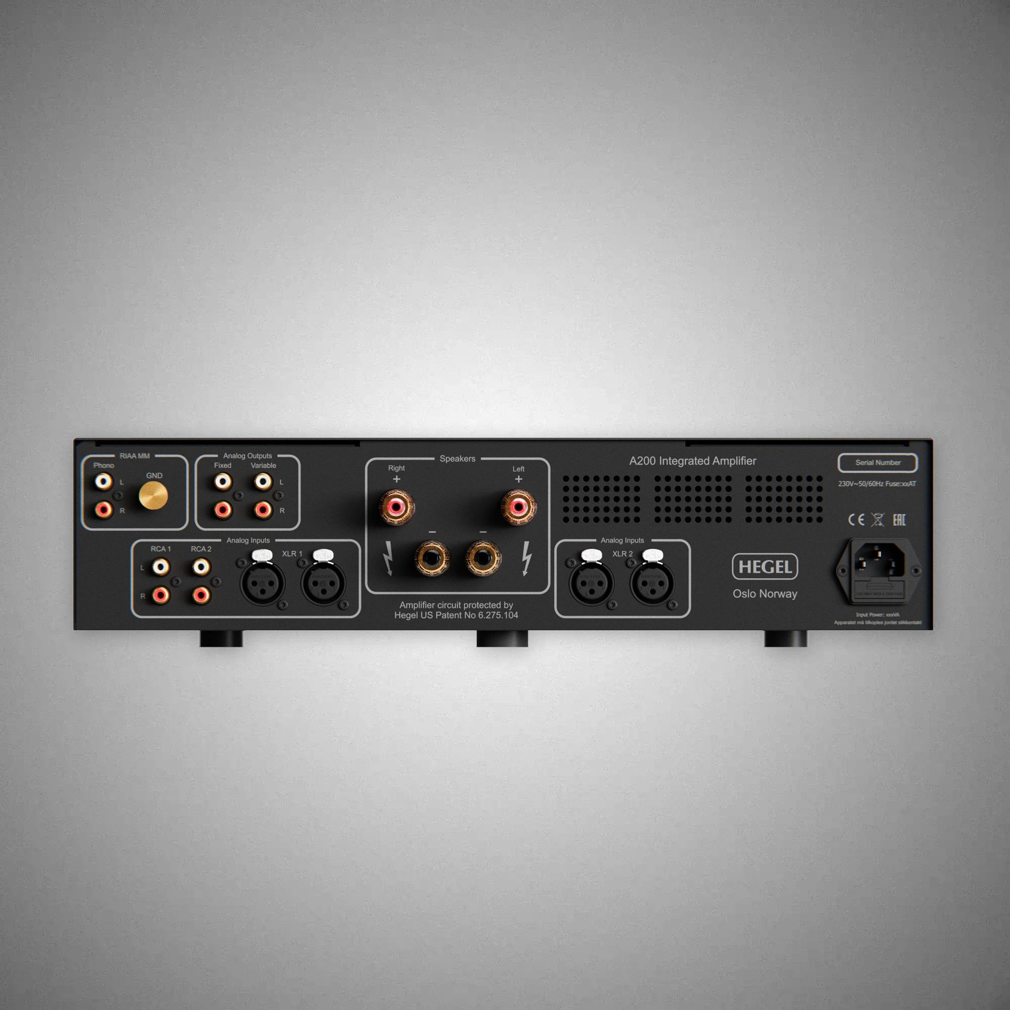 HEGEL A200 Integrated Amplifier (Rear) - DOUGLAS HIFI