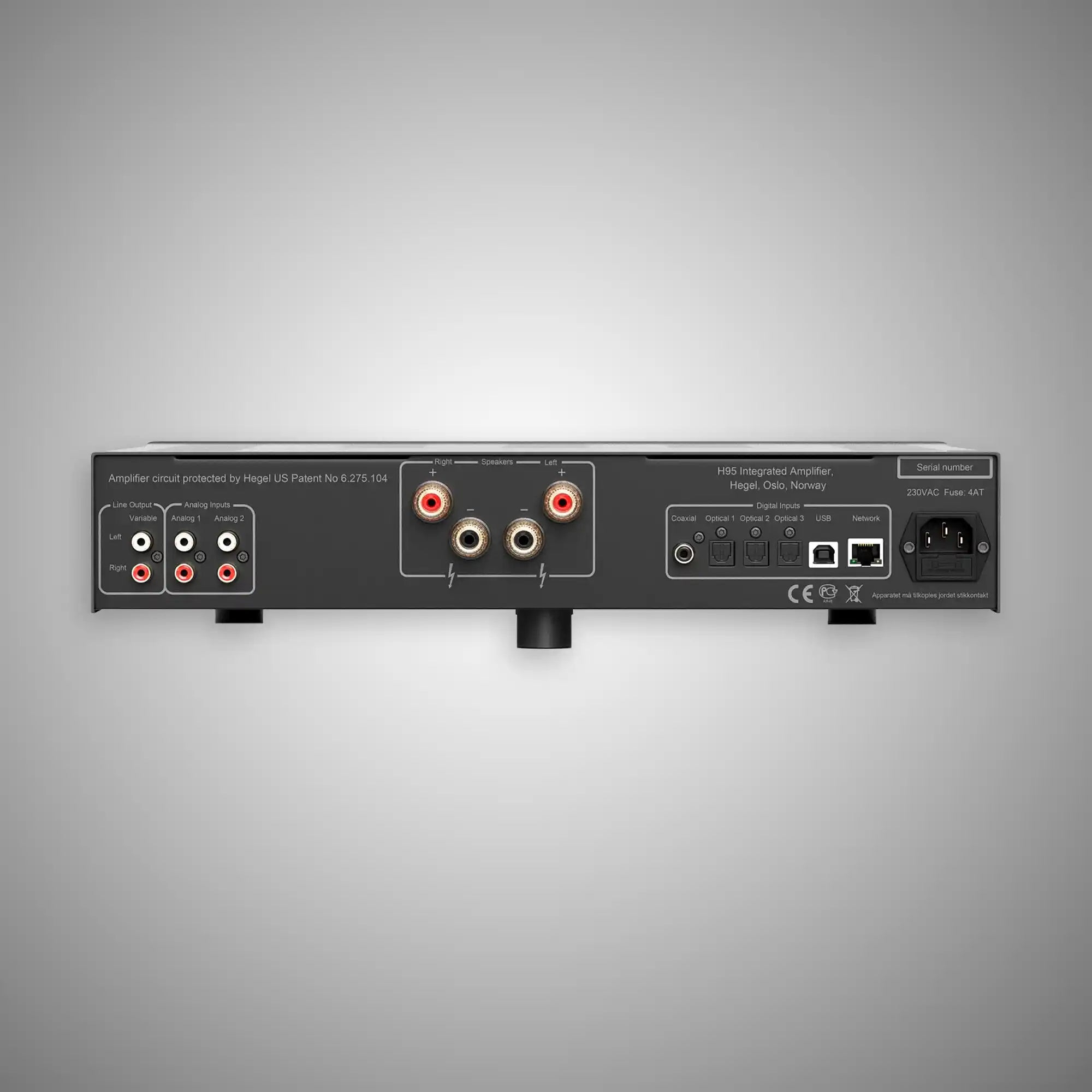 Hegel H95 Integrated Amplifier Rear - DOUGLAS HiFi