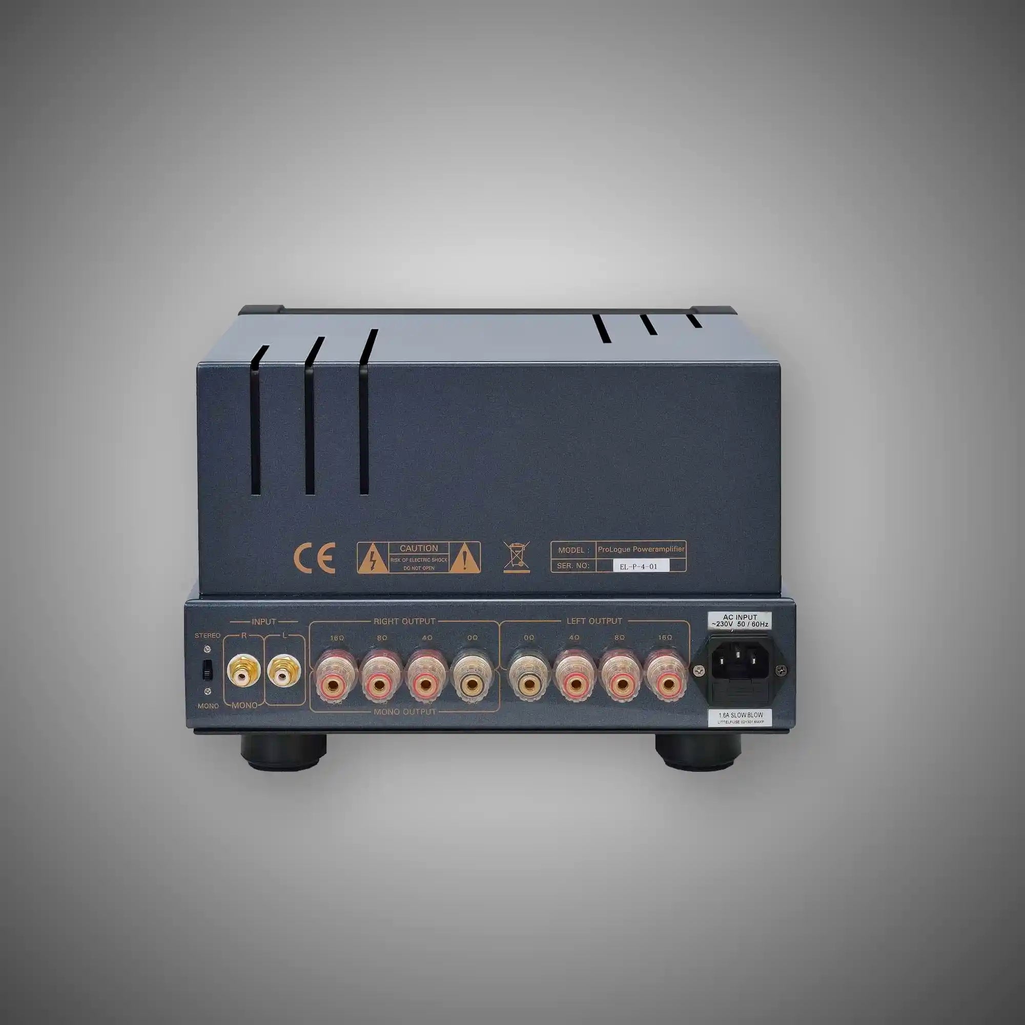 PrimaLuna EVO 100 Power Amplifier (BLACK Rear) - DOUGLAS HIFI