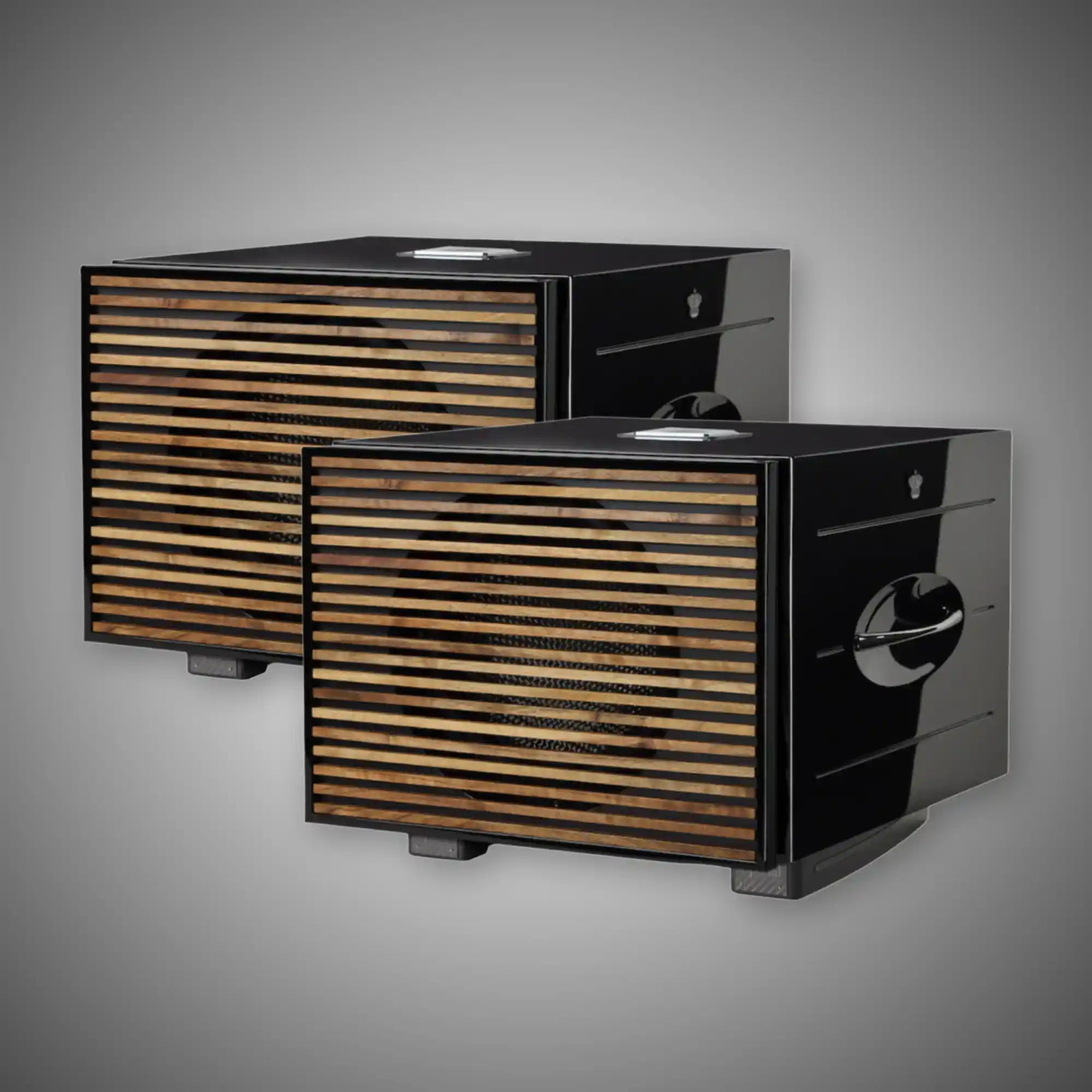 REL Carbon Special Black Label Subwoofers (Stereo Pair) - DOUGLAS HIFI
