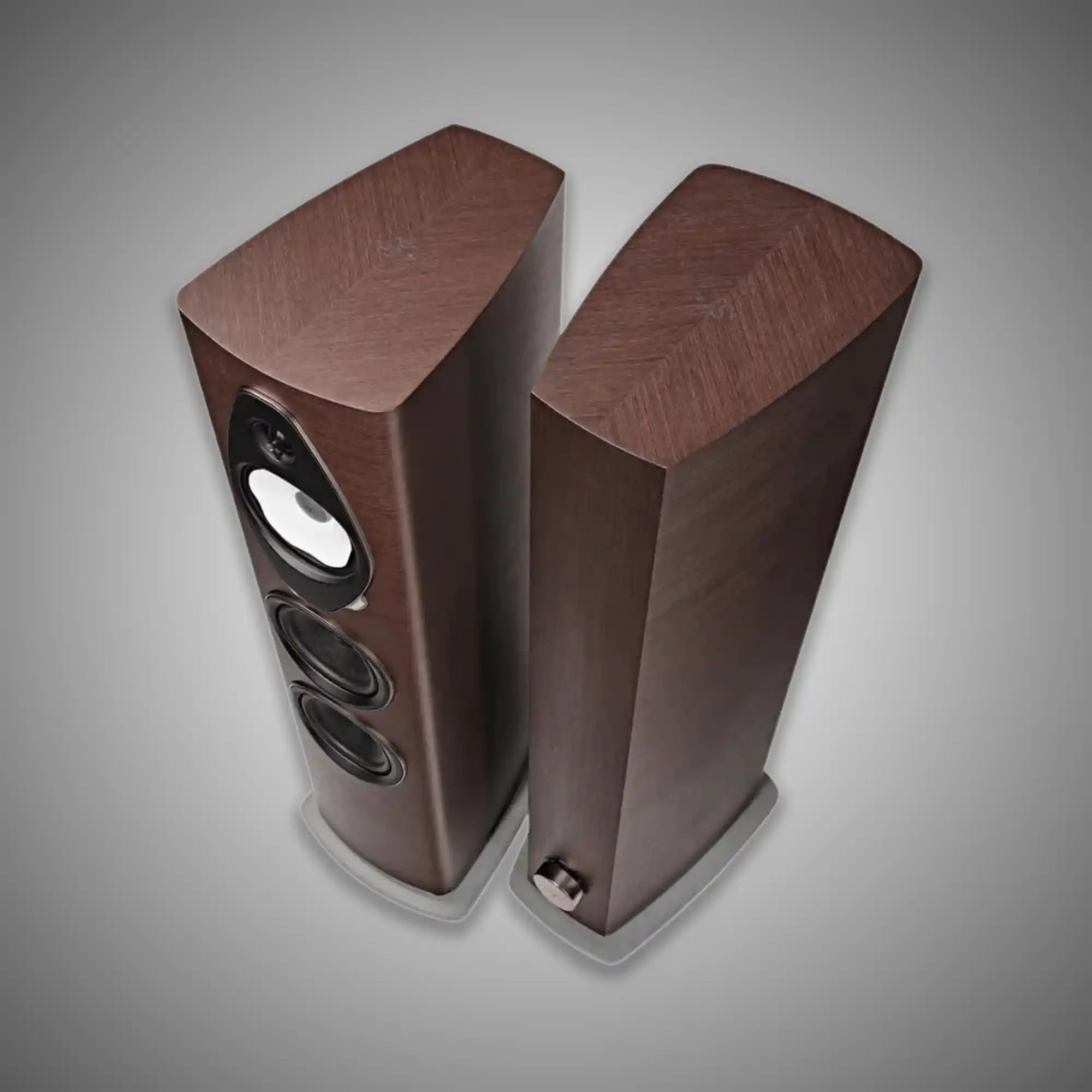 Sonus faber Sonetto V G2 Speakers - Wenge - DOUGLAS HIFI