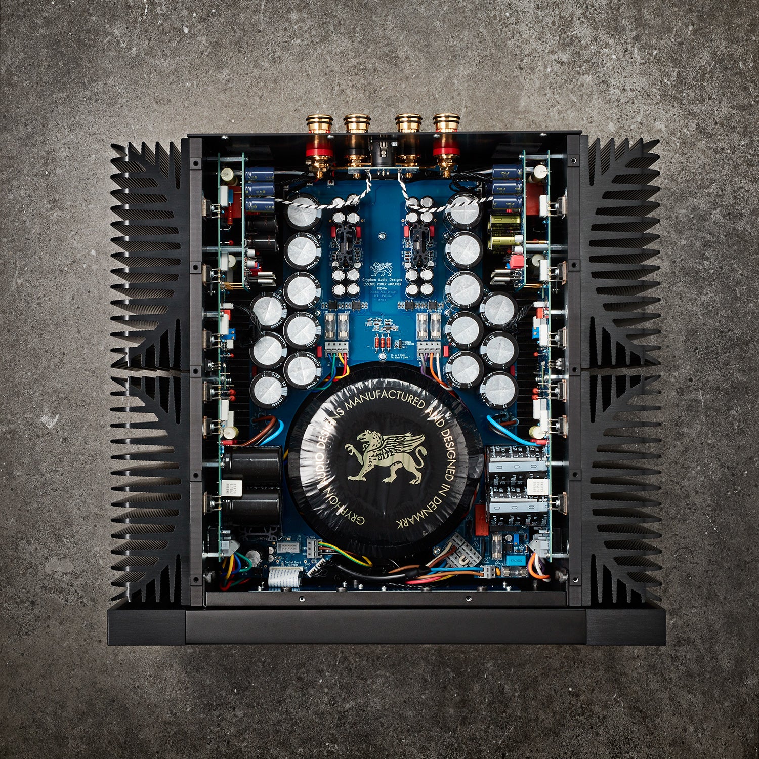 The Grphon Essennce Power Amplifier (INTERNAL) - DOUGLAS HIFI