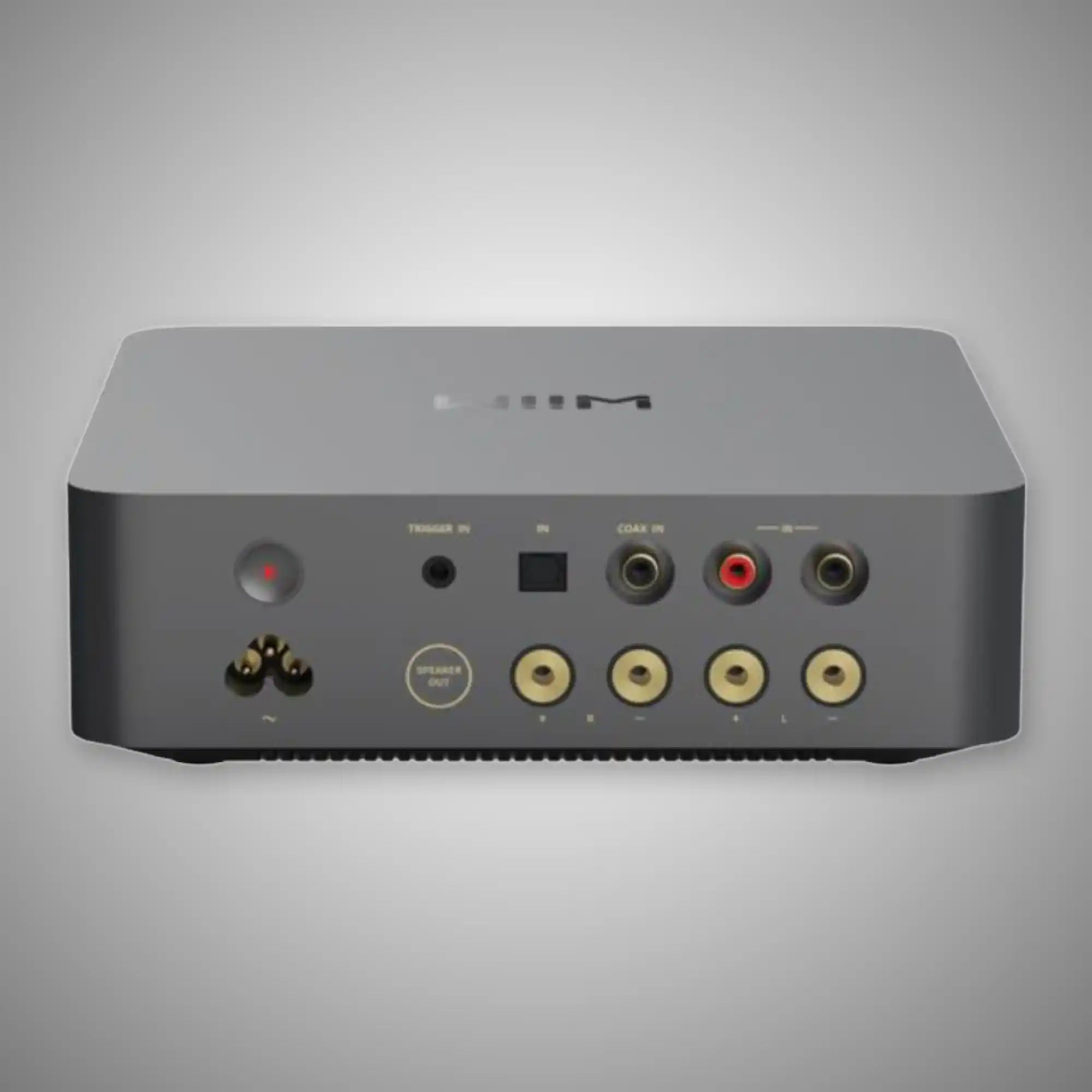 WiiM Vibelink Streaming Integrated Amplfiier (Rear) - DOUGLAS HIFI