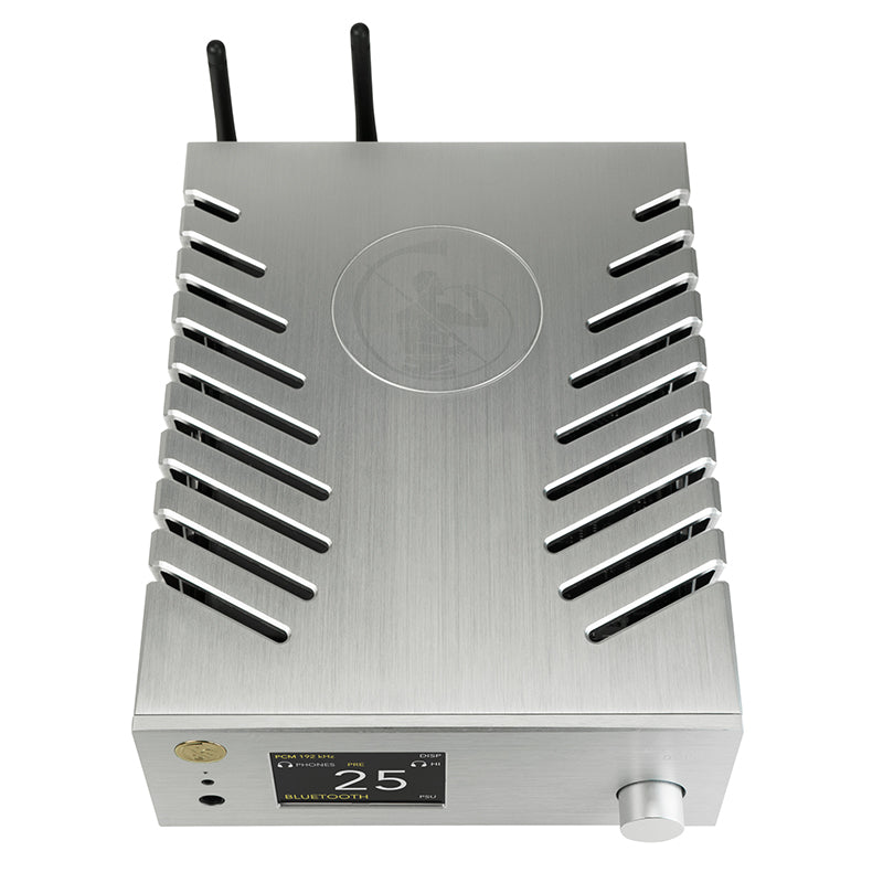 GOLD NOTE DS-10 EVO Line - Streaming DAC