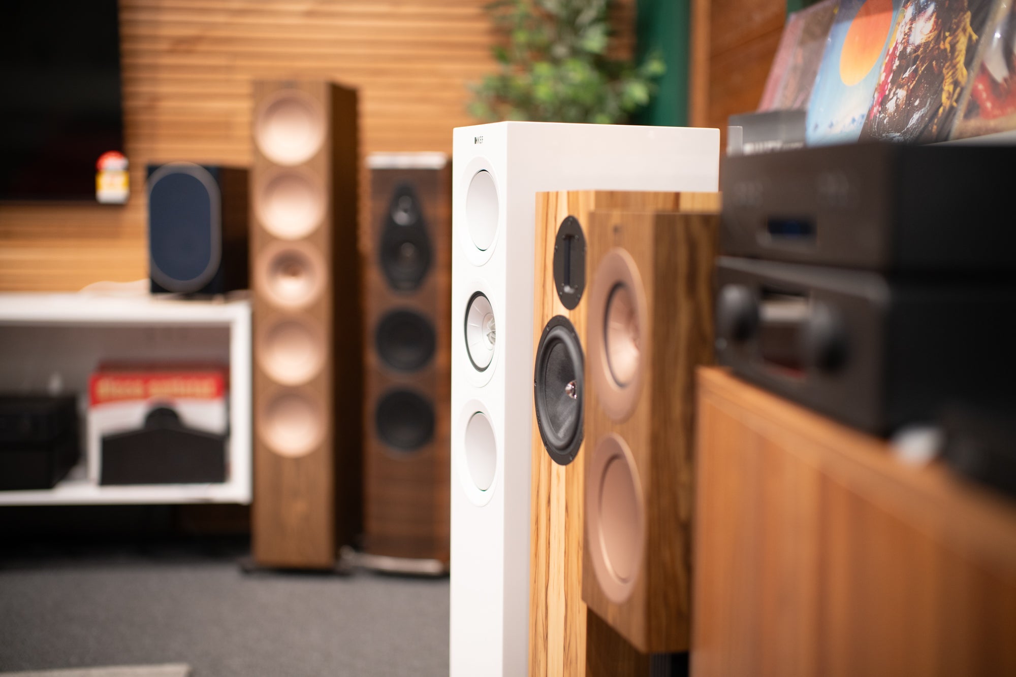 Speakers - Floorstanding / Tower | Douglas HiFi Perth