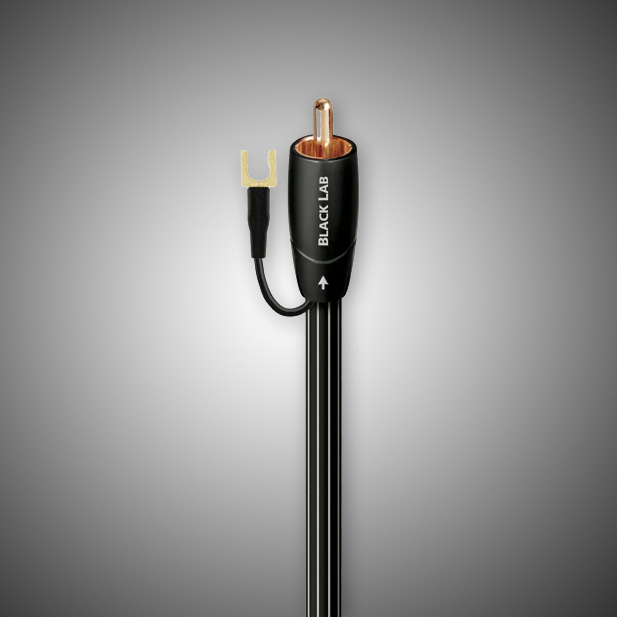 Audioquest Black Lab Subwoofer Cable - DOUGLAS HIFI