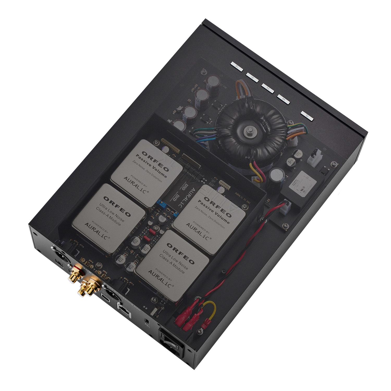 Auralic Vega S1 - Streaming DAC Interior - DOUGLAS HiFi