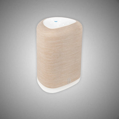 BLUESOUND PULSE FLEX Wireless Speaker (Tan) - DOUGLAS HIFI