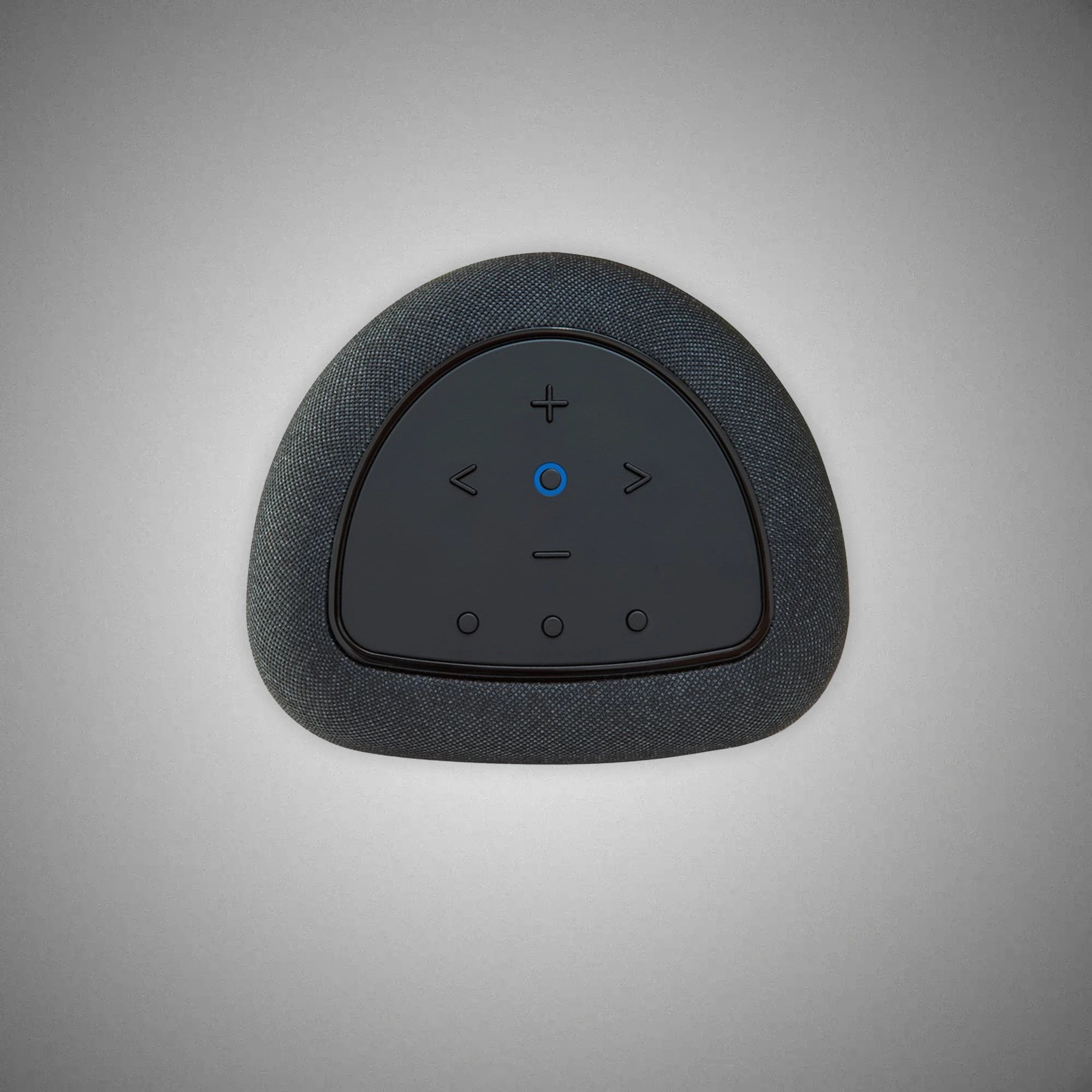 BLUESOUND PULSE FLEX SPEAKER (Top) - DOUGLAS HIFI