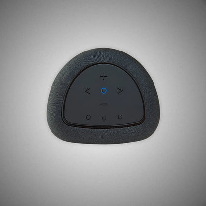 BLUESOUND PULSE FLEX SPEAKER (Top) - DOUGLAS HIFI