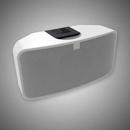 BLUESOUND Pulse Mini 2i Wireless Streaming Speaker White - DOUGLAS HIFI
