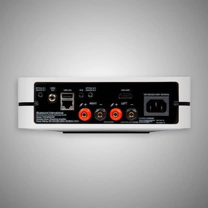 Bluesound Powernode (N330) Streaming Amplifier Rear - DOUGLAS HIFI
