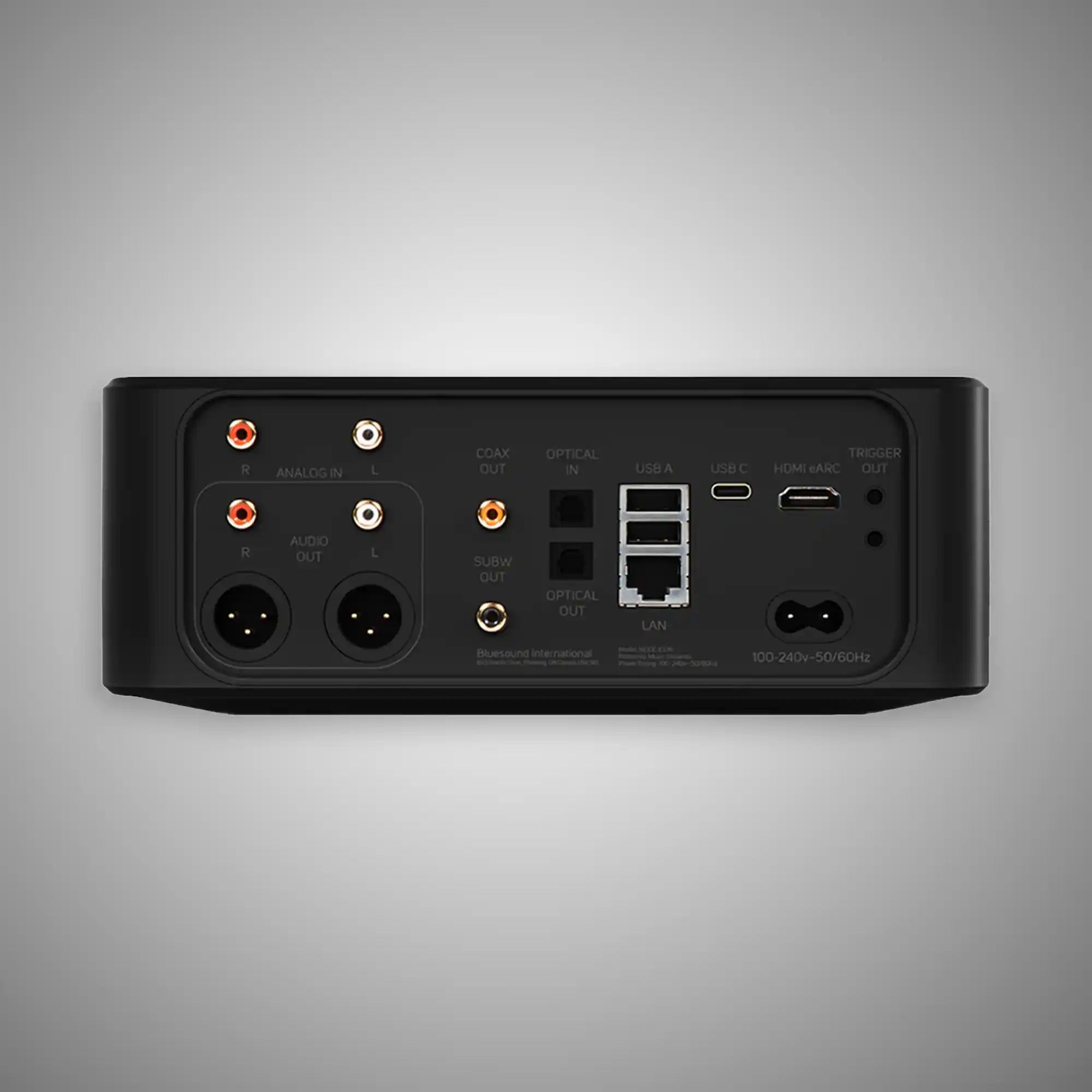 Bluesound Node Icon Music Streamer (Rear) - DOUGLAS HIFI