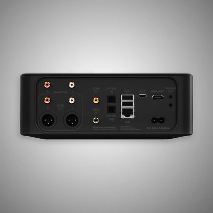 Bluesound Node Icon Music Streamer (Rear) - DOUGLAS HIFI