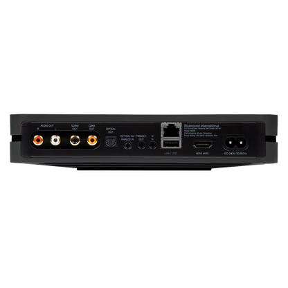 Bluesound NODE (N132 2024) Streamer REAR - DOUGLAS HIFI