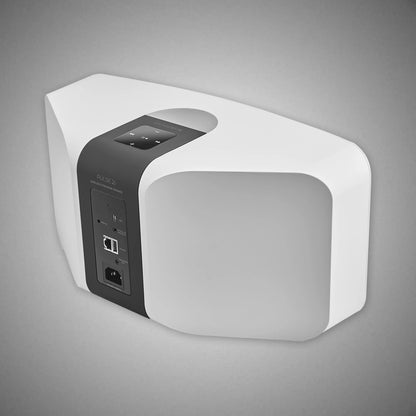 Bluesound Pulse 2i Wireless Speaker (Rear) - DOUGLAS HIFI
