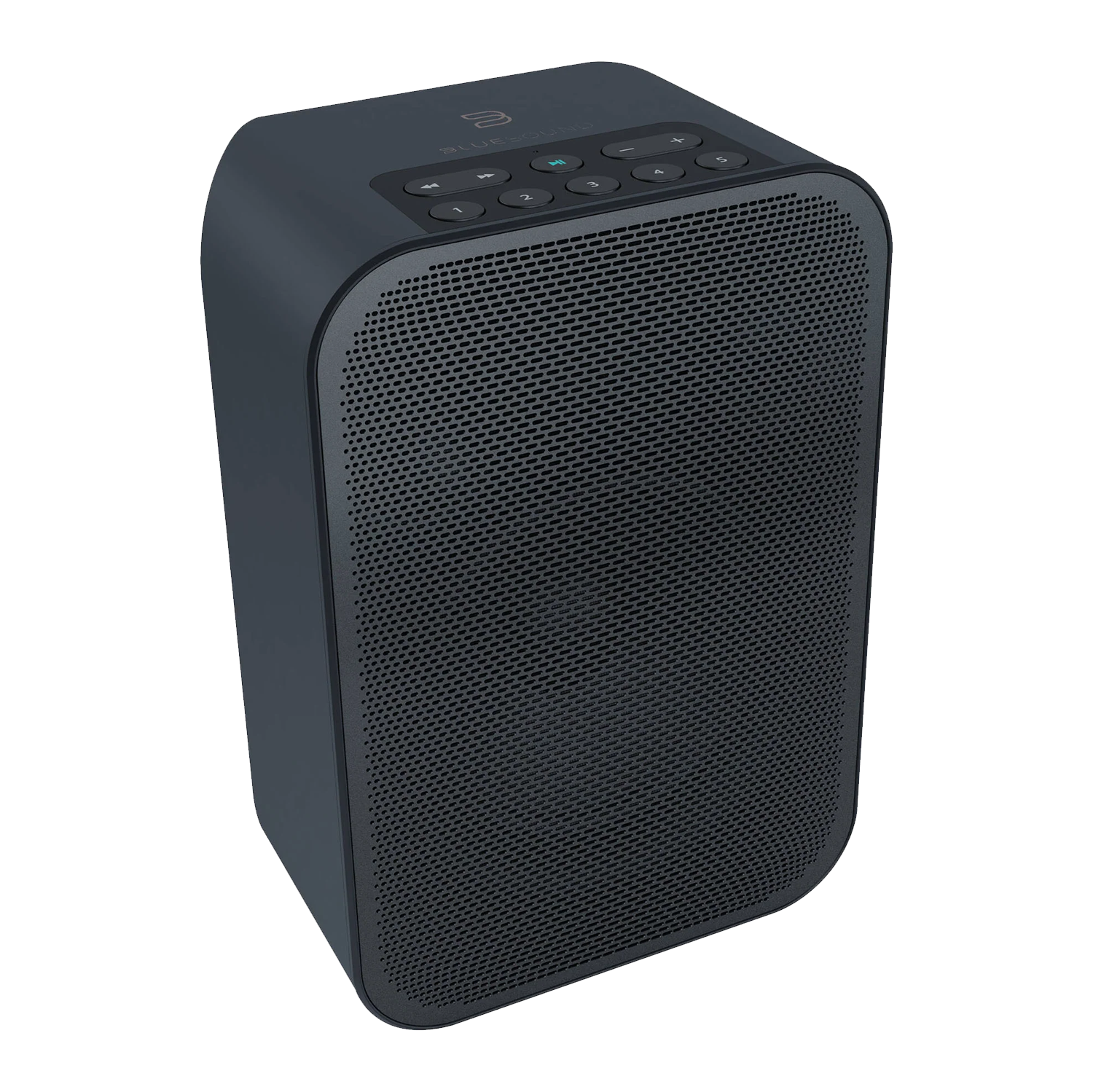 BLUESOUND Pulse Flex 2i Wireless Streaming Speaker