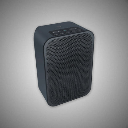Bluesound Pulse Flex 2i Wireless Speaker (Black) - DOUGLAS HIFI