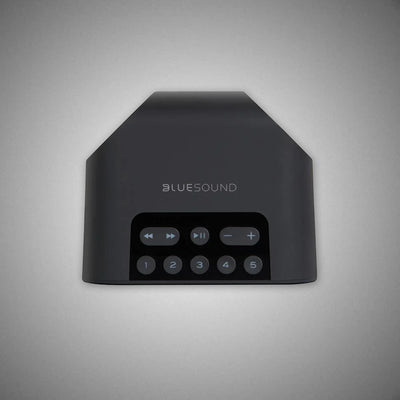 Bluesound Pulse Flex 2i Wireless Speaker (Buttons) - DOUGLAS HIFI