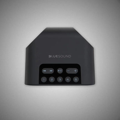 Bluesound Pulse Flex 2i Wireless Speaker (Buttons) - DOUGLAS HIFI