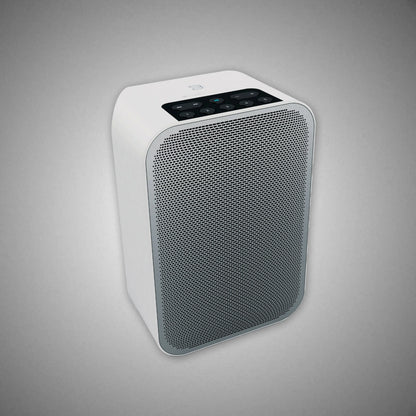 Bluesound Pulse Flex 2i Wireless Speaker (White) - DOUGLAS HIFI