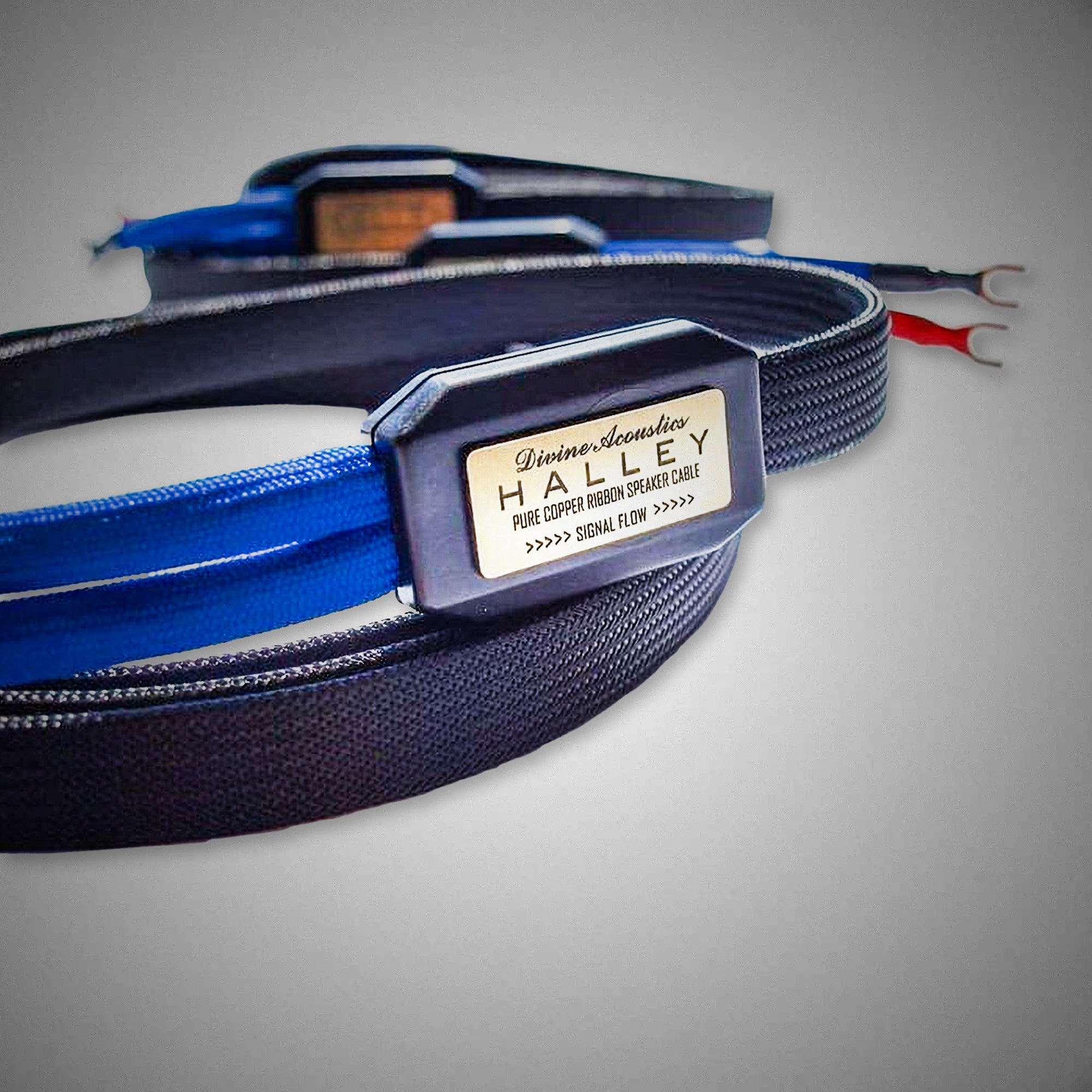 DIVINE ACOUSTICS HALLEY Speaker Cable - DOUGLAS HIFI