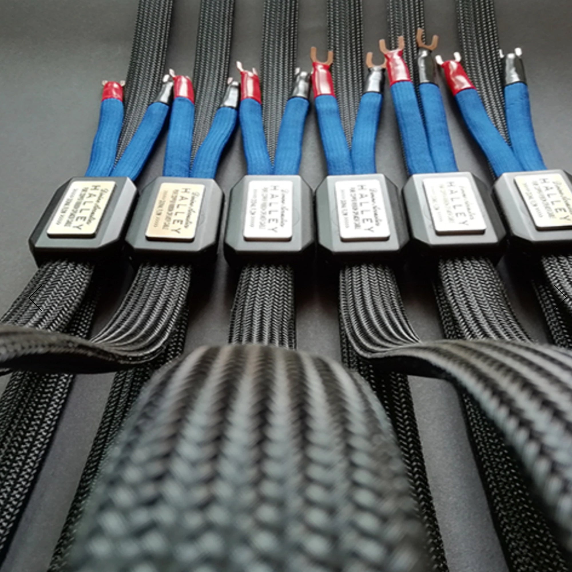 DIVINE ACOUSTICS HALLEY Speaker Cable Close Up - DOUGLAS HIFI