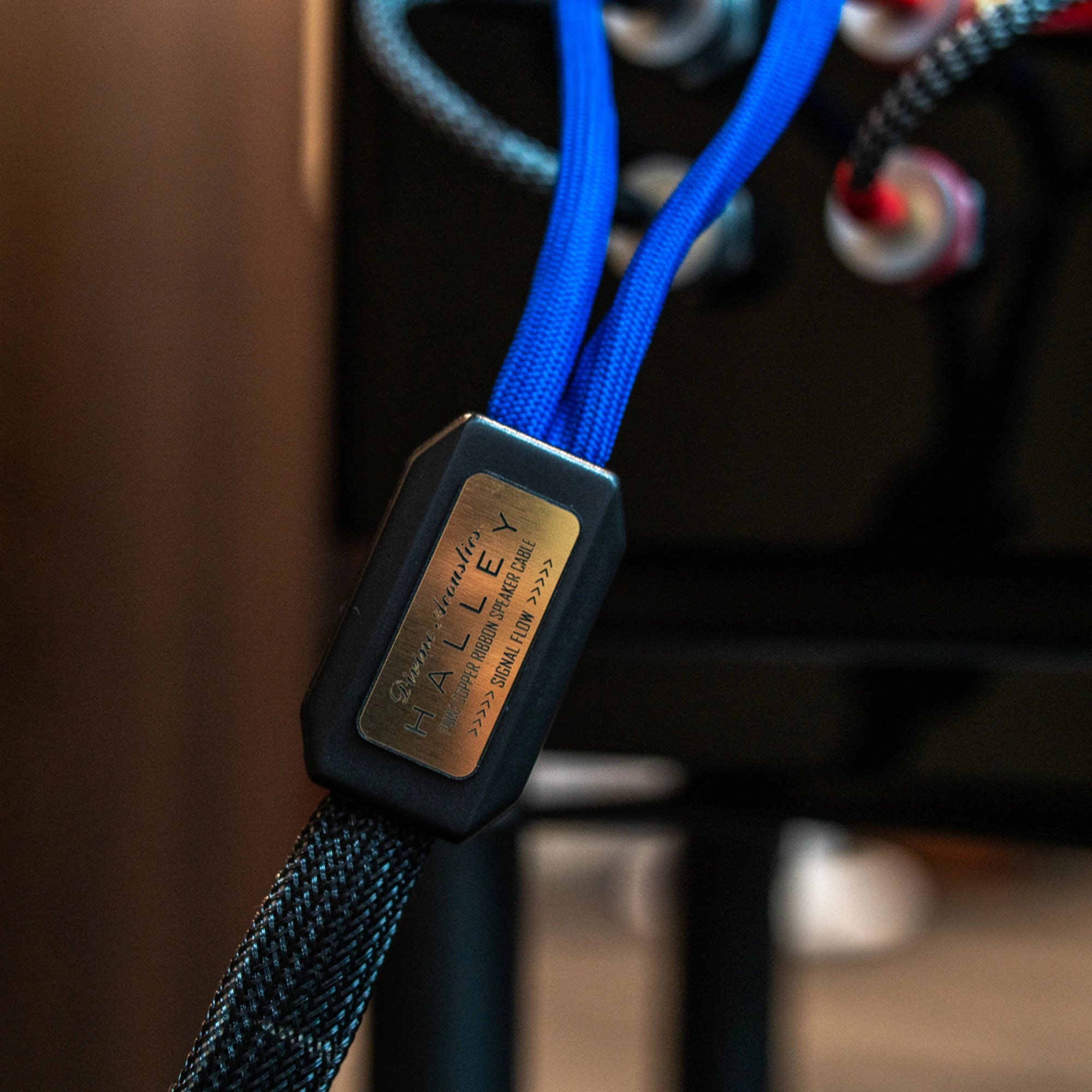 DIVINE ACOUSTICS HALLEY Speaker Cable Close Up 2  - DOUGLAS HIFI