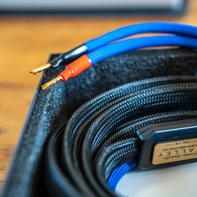 DIVINE ACOUSTICS HALLEY Speaker Cable Plug Close Up  - DOUGLAS HIFI