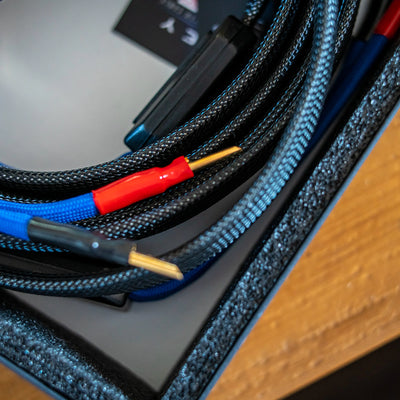 DIVINE ACOUSTICS HALLEY Speaker Cable Plug Close Up 2  - DOUGLAS HIFI