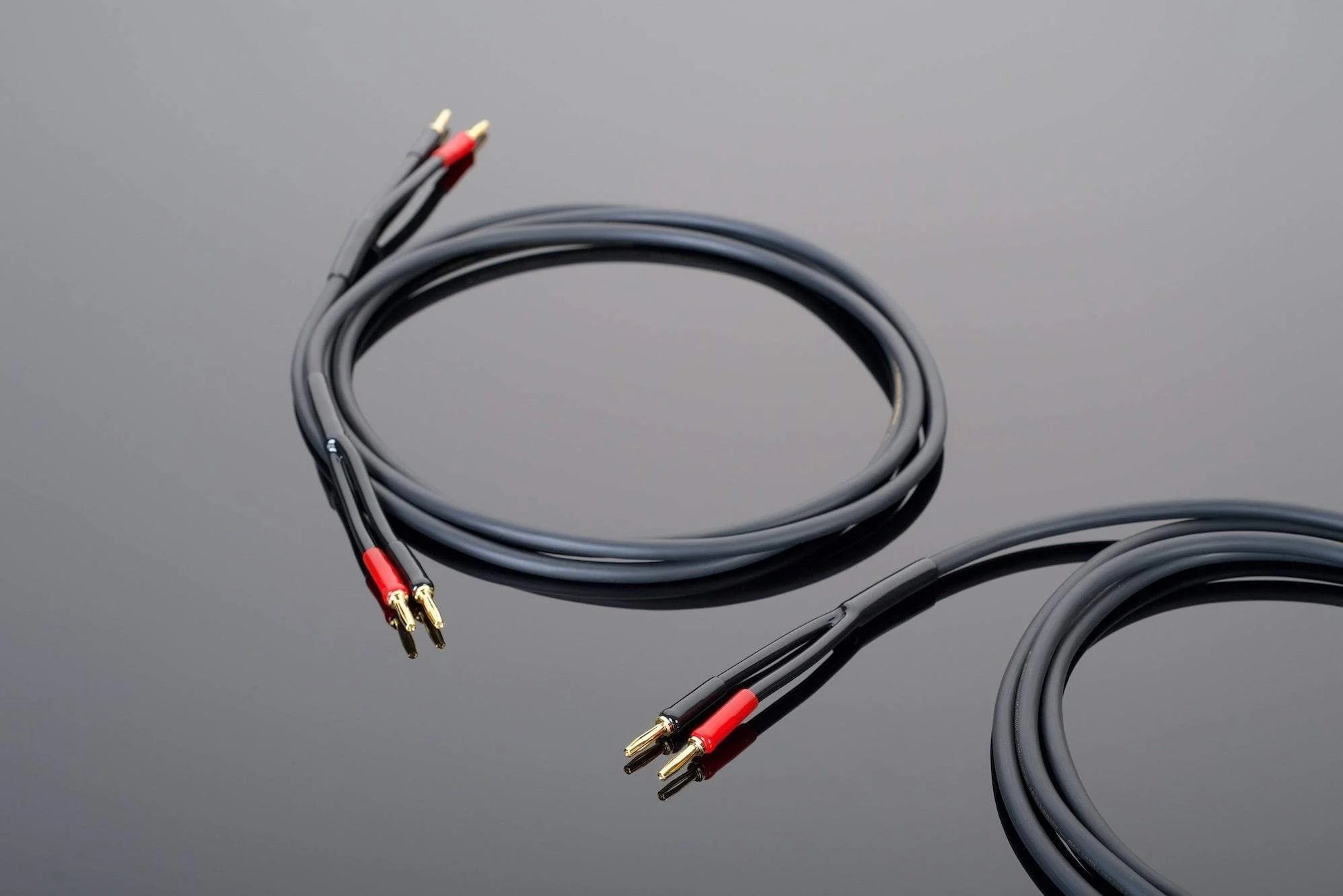 Transparent Audio Hardwired Speaker Cable