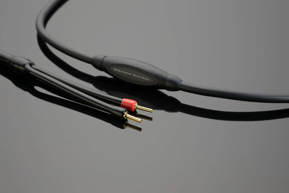 DouglasHiFi - Transparent Audio - MusicWave speaker cable 4 - Osborne Park Perth Western Australia