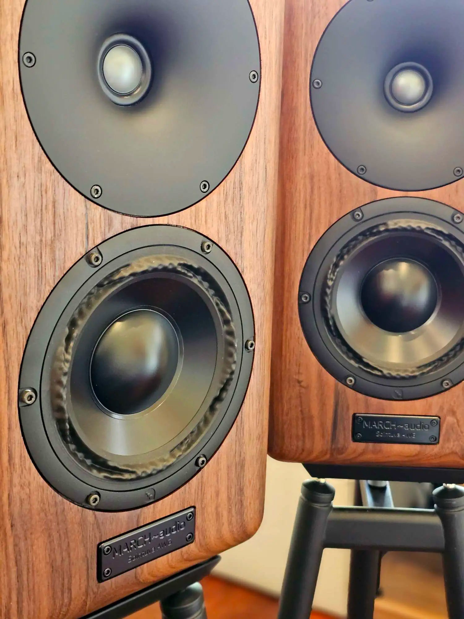 Douglas HiFi - March Audio - Sointuva Tasmanian Blackwood Close Up - Osborne Park - Perth - Western Australia