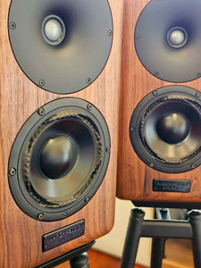 Douglas HiFi - March Audio - Sointuva Tasmanian Blackwood Close Up - Osborne Park - Perth - Western Australia