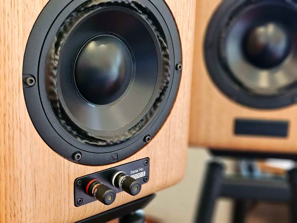 Douglas HiFi - March Audio - Sointuva Rear Close Up - Osborne Park - Perth - Western Australia