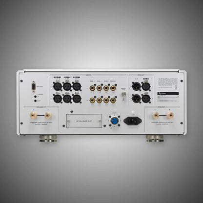 Esoteric F-01 Class A Integrated Amplifier Rear - DOUGLAS HIFI