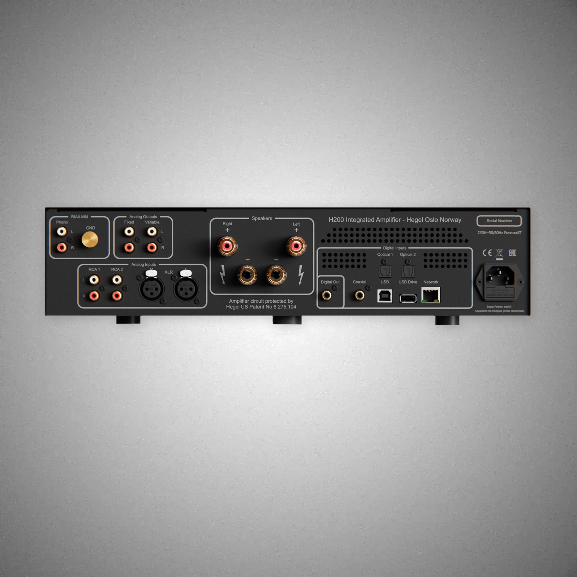 HEGEL H200 Streaming Integrated Amplifier Rear - DOUGLAS HIFI