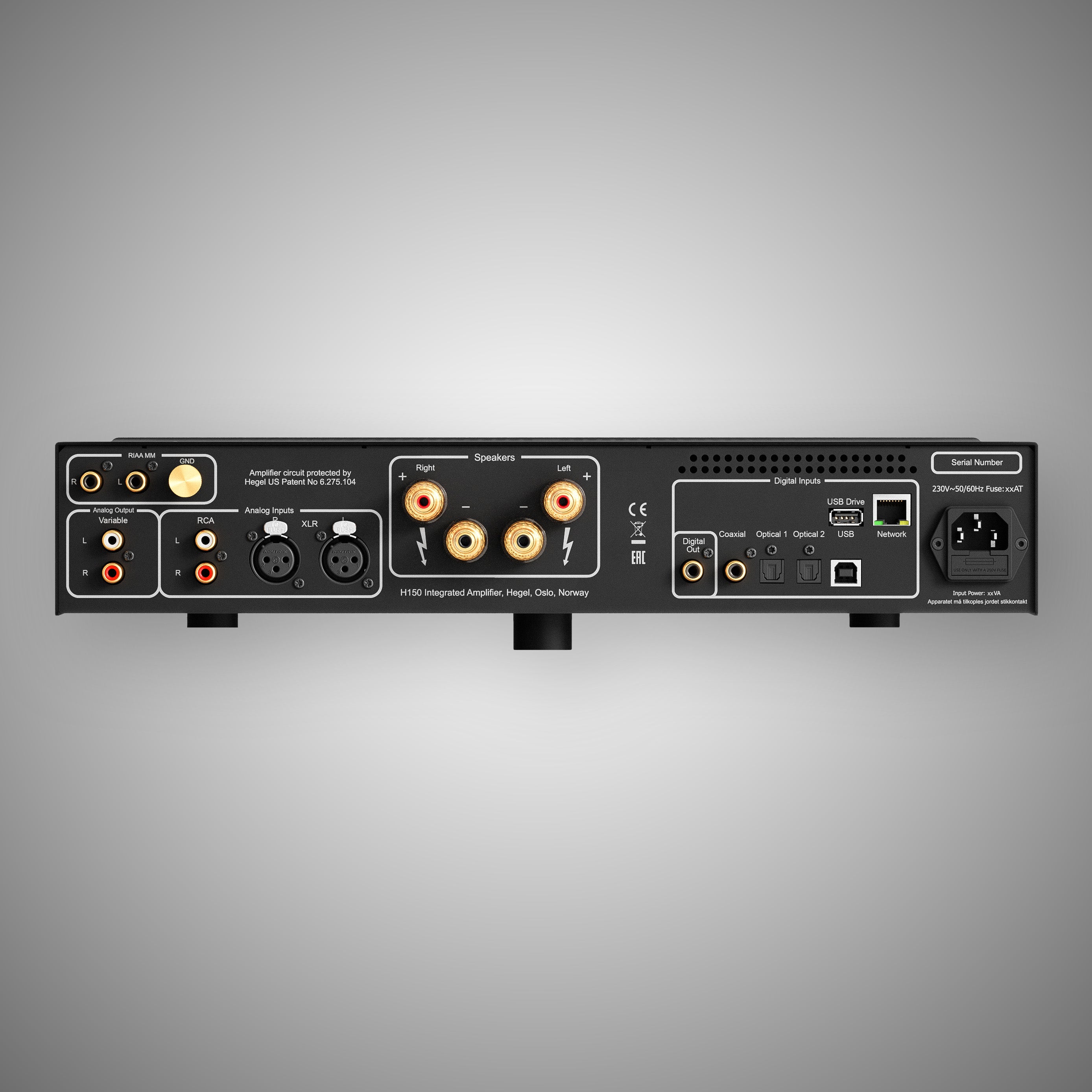 Hegel H150 Streaming Integrated Amplifier  - Rear of unit