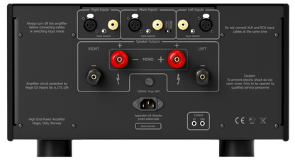 HEGEL H30A Power Amplifier