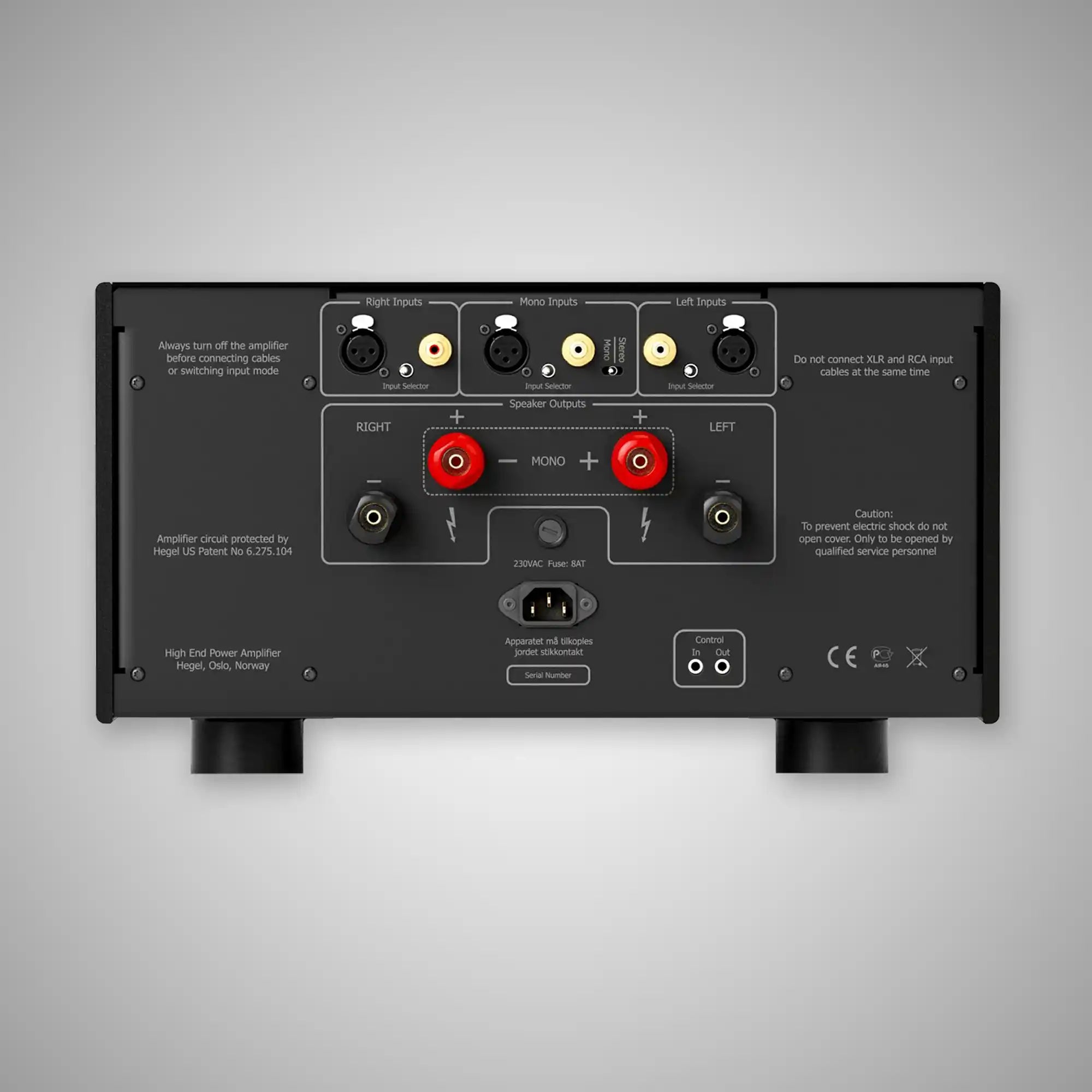 Hegel H30A Power Amplifier (Rear) - DOUGLAS Hi-Fi