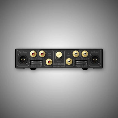 Hegel V10 Phono Preamplifier (Rear) - DOUGLAS HiFi