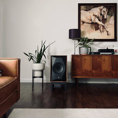 MoFI Sourcepoint 10 Master Edition Speakers Walnut Lifestyle - DOUGLAS