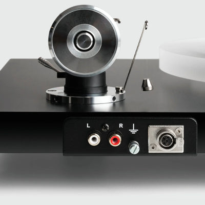 PRO-JECT Debut Reference 10 Turntable Rear - DOUGLAS HIFI