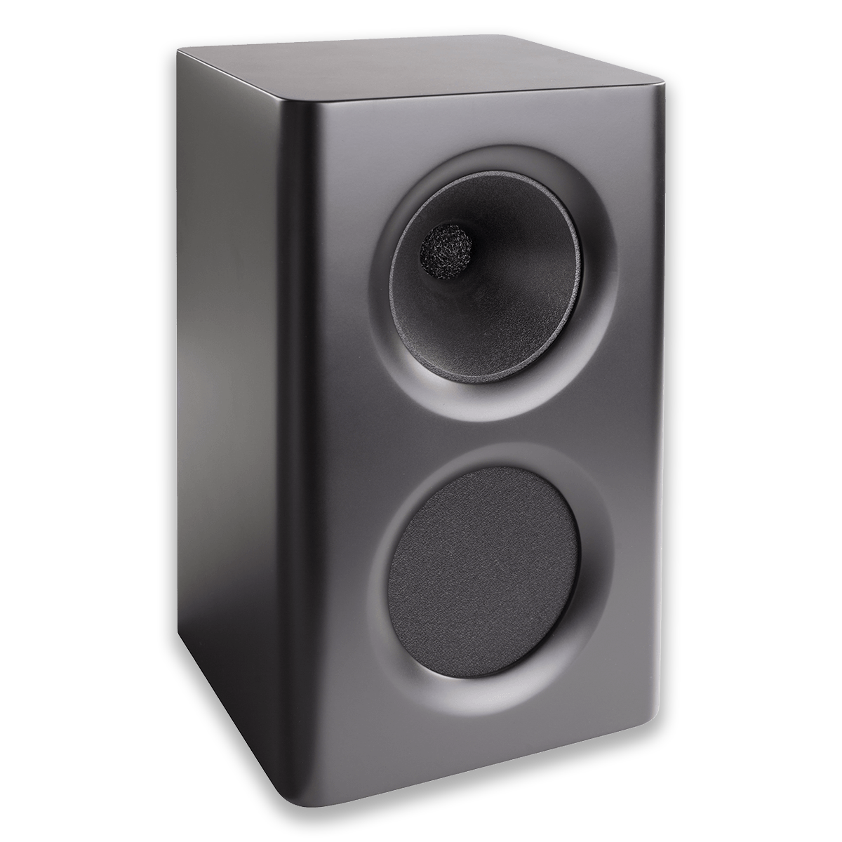 Procella P5 Loudspeaker