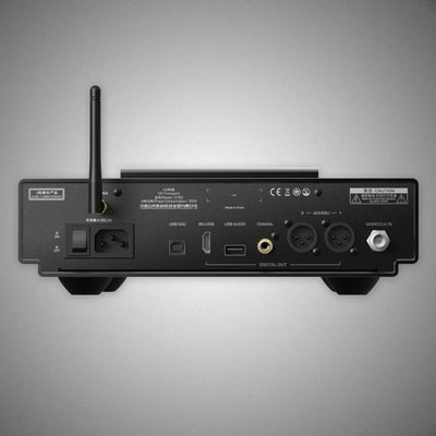SHANLING CT90 CD Transport Rear - DOUGLAS HIFI