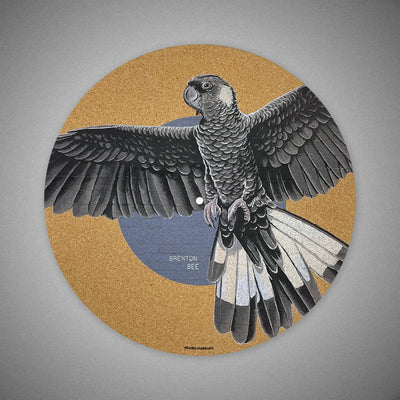 STUDIO MAKKURO Carnaby's Black Cockatoo by Brenton See (WA) - DOUGLAS HIFI