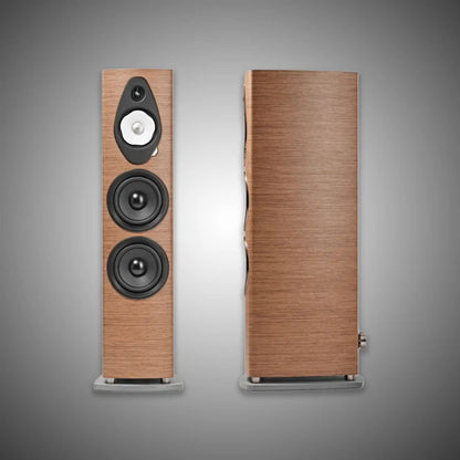 Sonus faber Sonetto VIII G2 Walnut - DOUGLAS HIFI