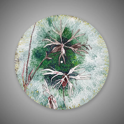 Studio Makkuro - "Comet Cork" by Ish Marrington & Christopher Crouch (WA) - DOUGLAS HIFI