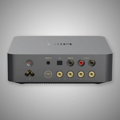 WiiM Vibelink Streaming Integrated Amplfiier (Rear) - DOUGLAS HIFI