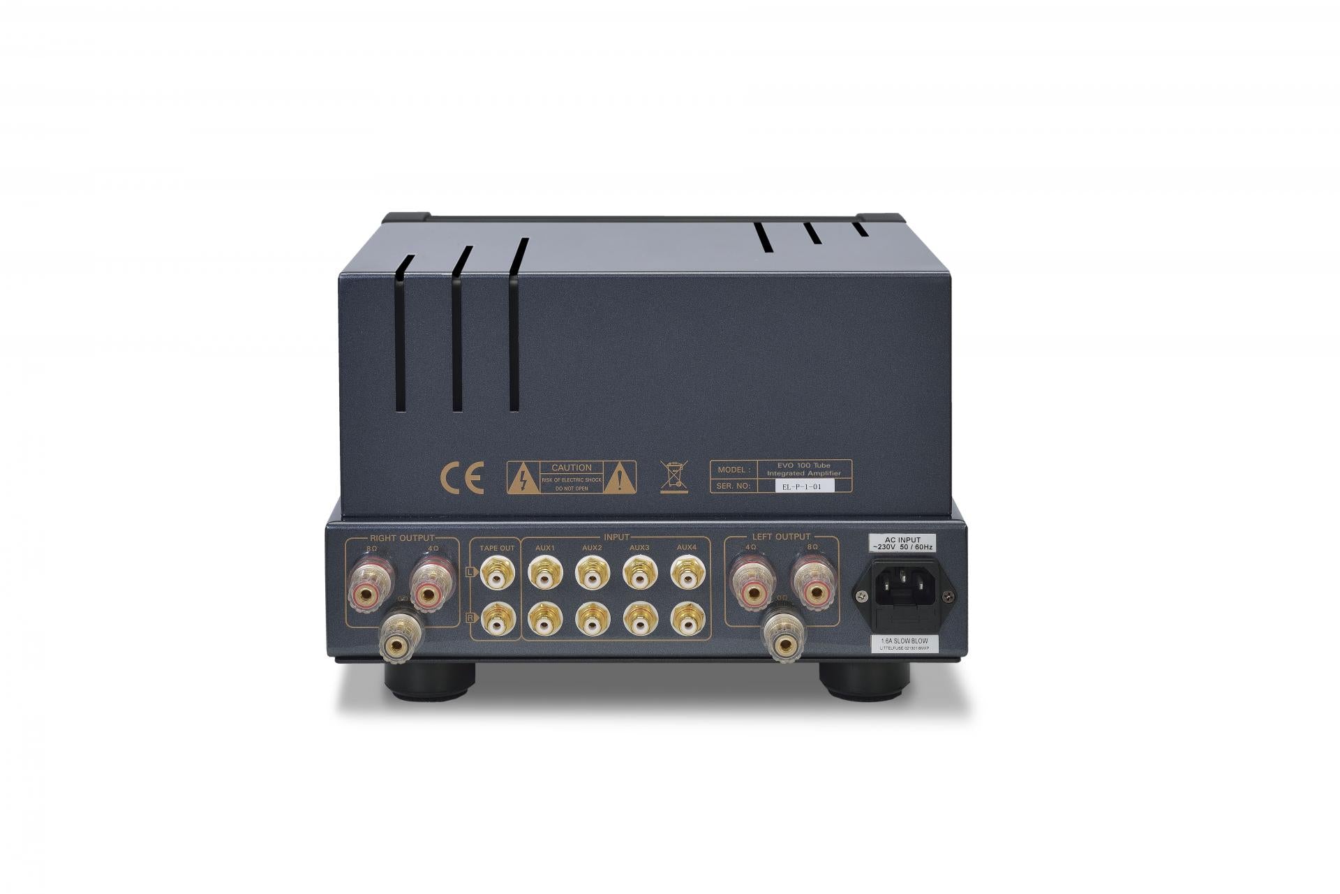 PrimaLuna EVO 100 Valve/Tube Integrated Amplifier Silver (Rear) | Douglas HiFi